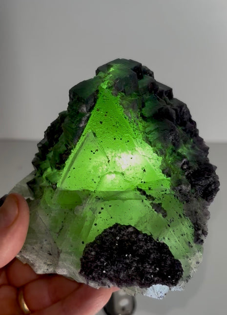 Green Fluorite with Purple Crystallization PM1154