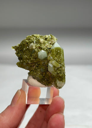 New ! Druzy Green Epidote with Quartz