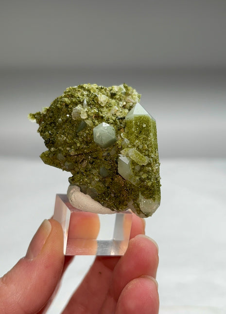 New ! Druzy Green Epidote with Quartz