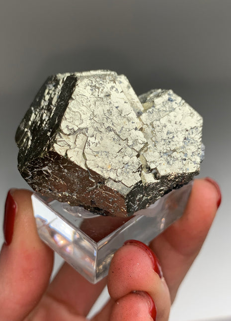 Pentadodecahedral Pyrite
from Elba, Italy Collection # 128
