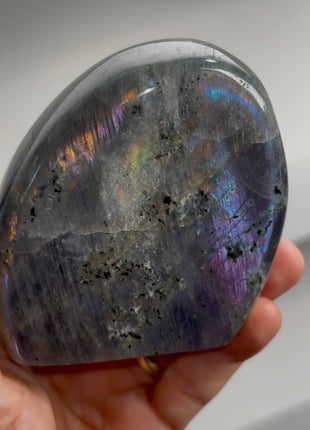 Incredibly Colorful Labradorite PM0559