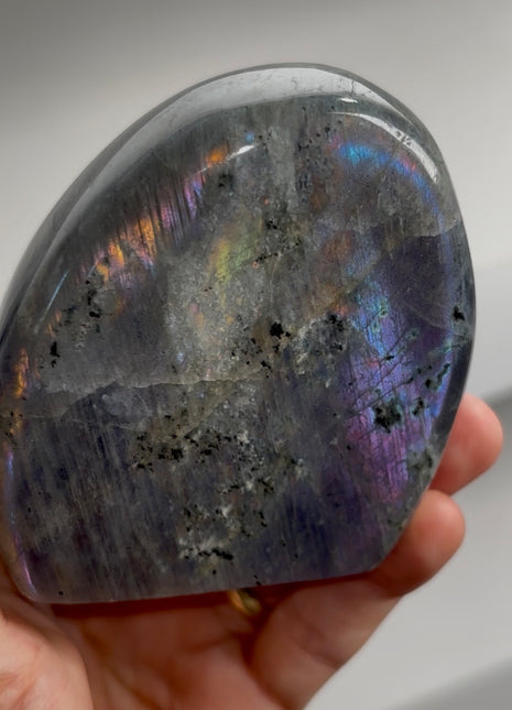 Incredibly Colorful Labradorite PM0559