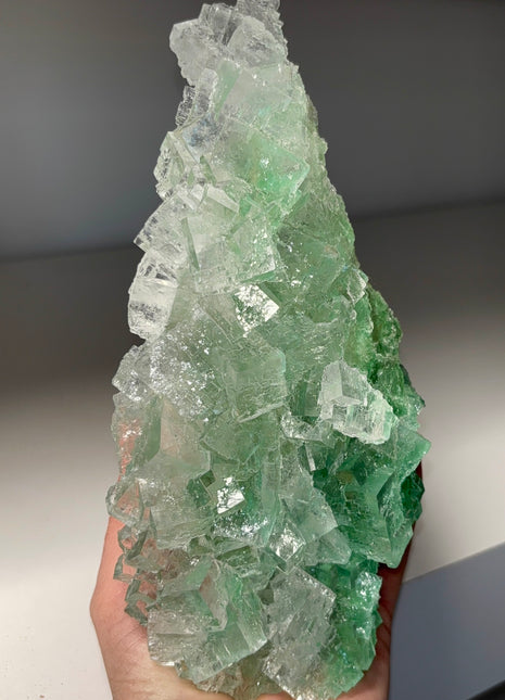 Xmas Tree ! Gemmy Cubic Halite Specimen