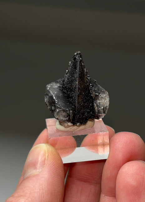 Black Knight Calcite