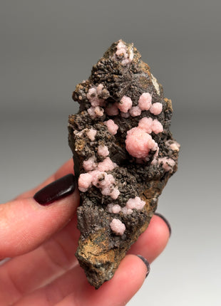 Pink Rhodocrosite with Neotocite - From Potosi mine