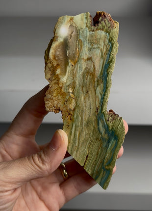 Larsonite Petwood from Nevada