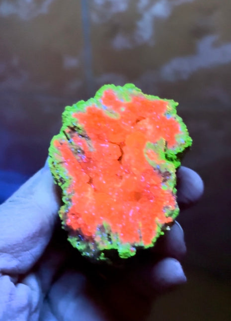 UV Watermelon Calcite Specimen from Argentina