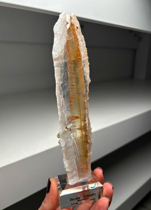 Icy Golden Selenite from Spain