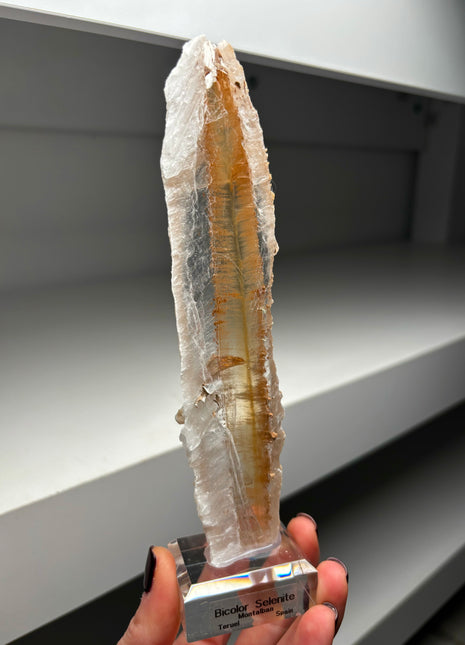 Icy Golden Selenite from Spain