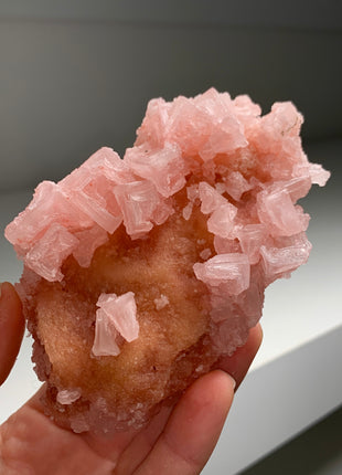 Pink Halite with Great Crystallization - from Searles Lake, California