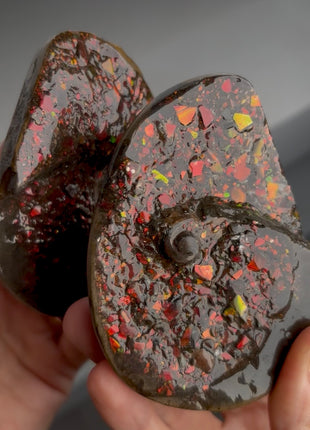 Stunning ! Ammolite Pair from Alberta, Canada Collection # 831