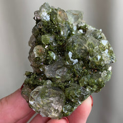 Collection image for: Forest Epidote