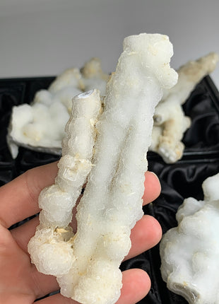New ! White Coral Chalcedony Stalactite Lot - 4 pieces !