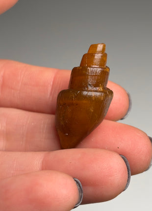 Rare Carnelian Replaced Fossil Gastropods Lot - 18 Pieces