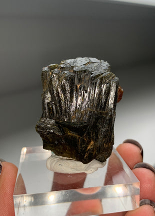 New Arrival ! Red Garnet var. Andradite with Glossy Epidote - From Mali