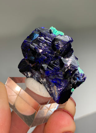 Wow ! Blue Azurite from Milpillas, Mexico # PM0162