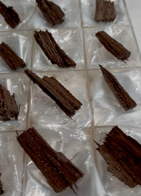 12 Pieces ! Permineralized Fossil Wood Fairy Wood Lot