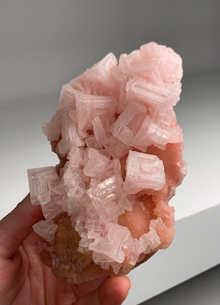 New ! Pink Halite with Great Crystallization - from Searles Lake, California