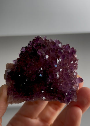 Amethyst from Cosmic Purple Pocket PM0516