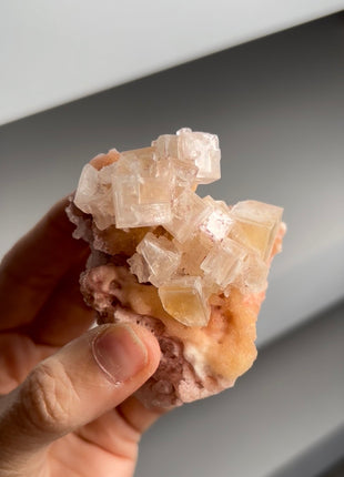 Pink & Yellow Bicolor Halite with Trona