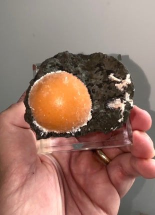 Top Class Orange Thomsonite with Mesolite