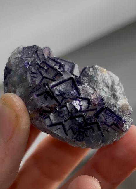 “Picture Frame” Fluorite PM0350