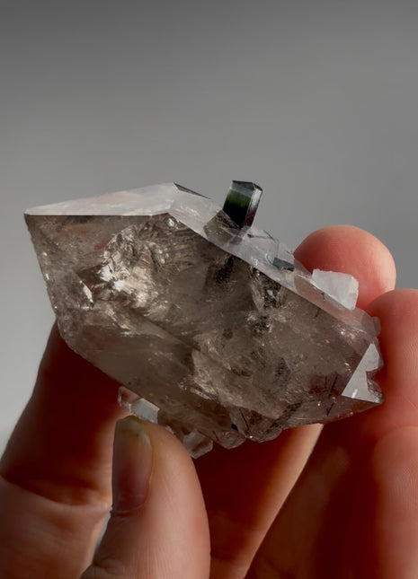 Smoky Quartz with Green Cap Tourmaline PM1427