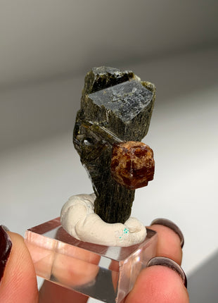 New Arrival ! Red Garnet var. Andradite with Glossy Epidote - From Mali DWS