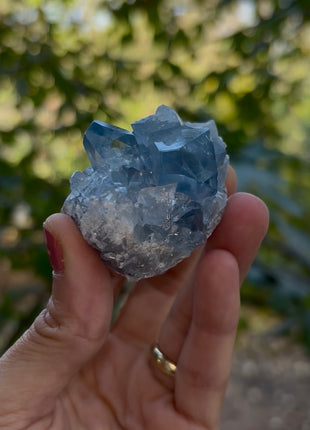 Gem 💎 Sky Blue Celestite
