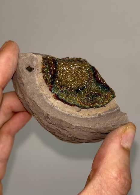 Spectropyrite Specimen from Volga River, Russia 🌈
