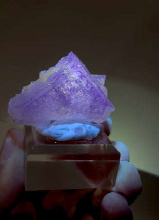 New Arrival ! Galaxy Fluorite