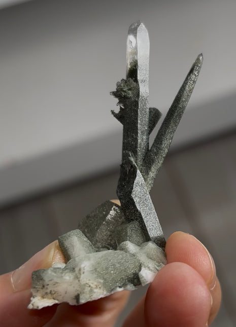 Quartz with Chlorite with Adularia from Ganesh Himal PM0933