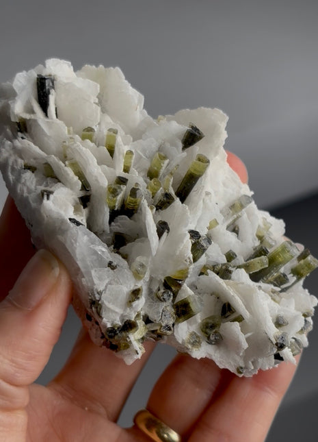 Top ! Green Cap Tourmaline with Cleavelandite PM1431