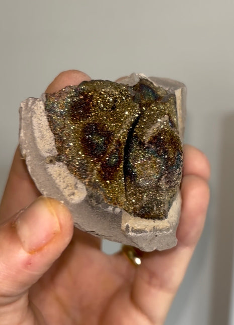 Spectropyrite Specimen from Volga River, Russia 🌈