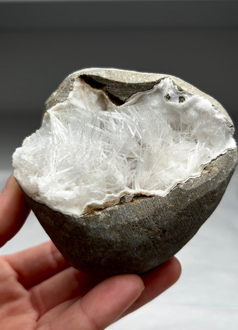 Scolecite Flower Geode with Druzy Quartz