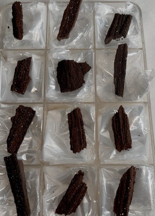 12 Pieces ! Permineralized Fossil Wood Fairy Wood Lot