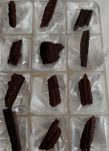 12 Pieces ! Permineralized Fossil Wood Fairy Wood Lot