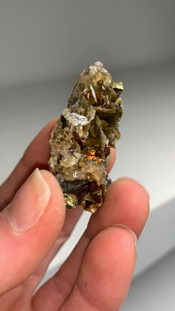 Chalcopyrite with Siderite 🌈 - Kaiwu mine