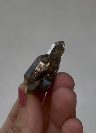 Chlorite Included Quartz - From Chamonix, French Alps