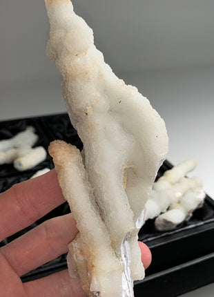 New ! White Coral Chalcedony Stalactite Lot - 4 pieces !