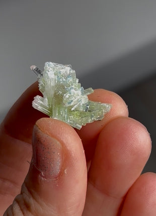 Blue Tip Tourmaline Miniature