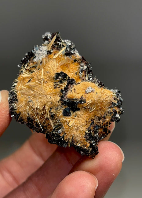 Golden Rutile with Metallic Hematite