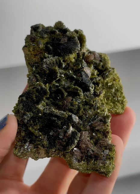 New ! Epidote Flowers with Axinite PM1571