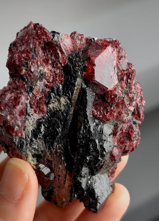 Crystallized Red Eudialyte Collection # 847