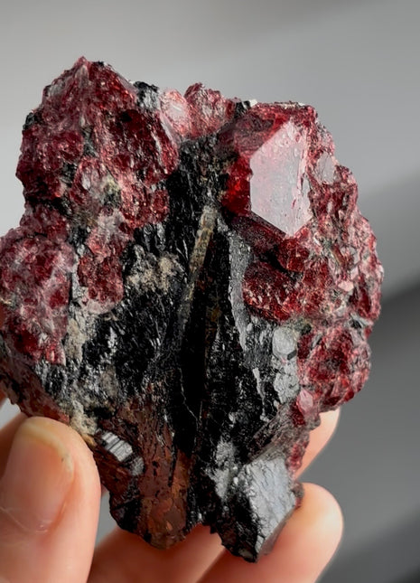 Crystallized Red Eudialyte Collection # 847