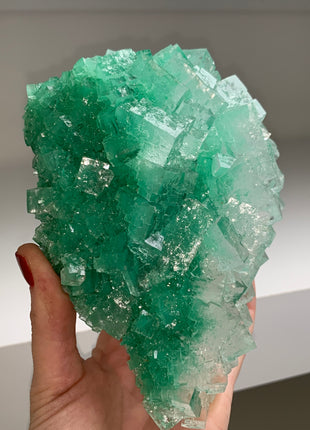 Very High Grade Gemmy Green Halite - From Lubin mine, Poland