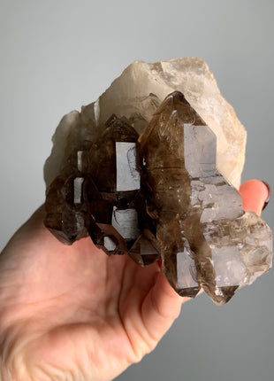 Perfect Elestial Smoky Quartz - From Namibia