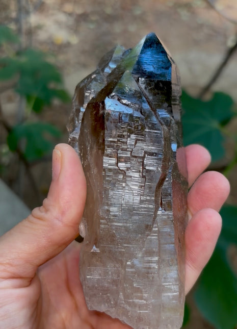 Morion Quartz PM1216