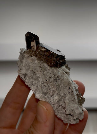 Smoky Quartz from Mont Blanc PM1126