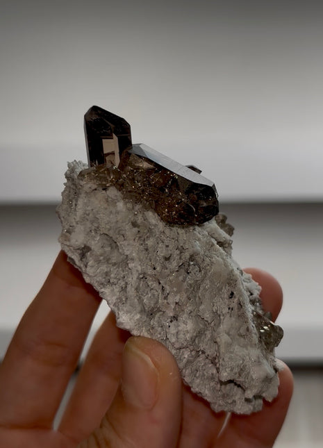 Smoky Quartz from Mont Blanc PM1126